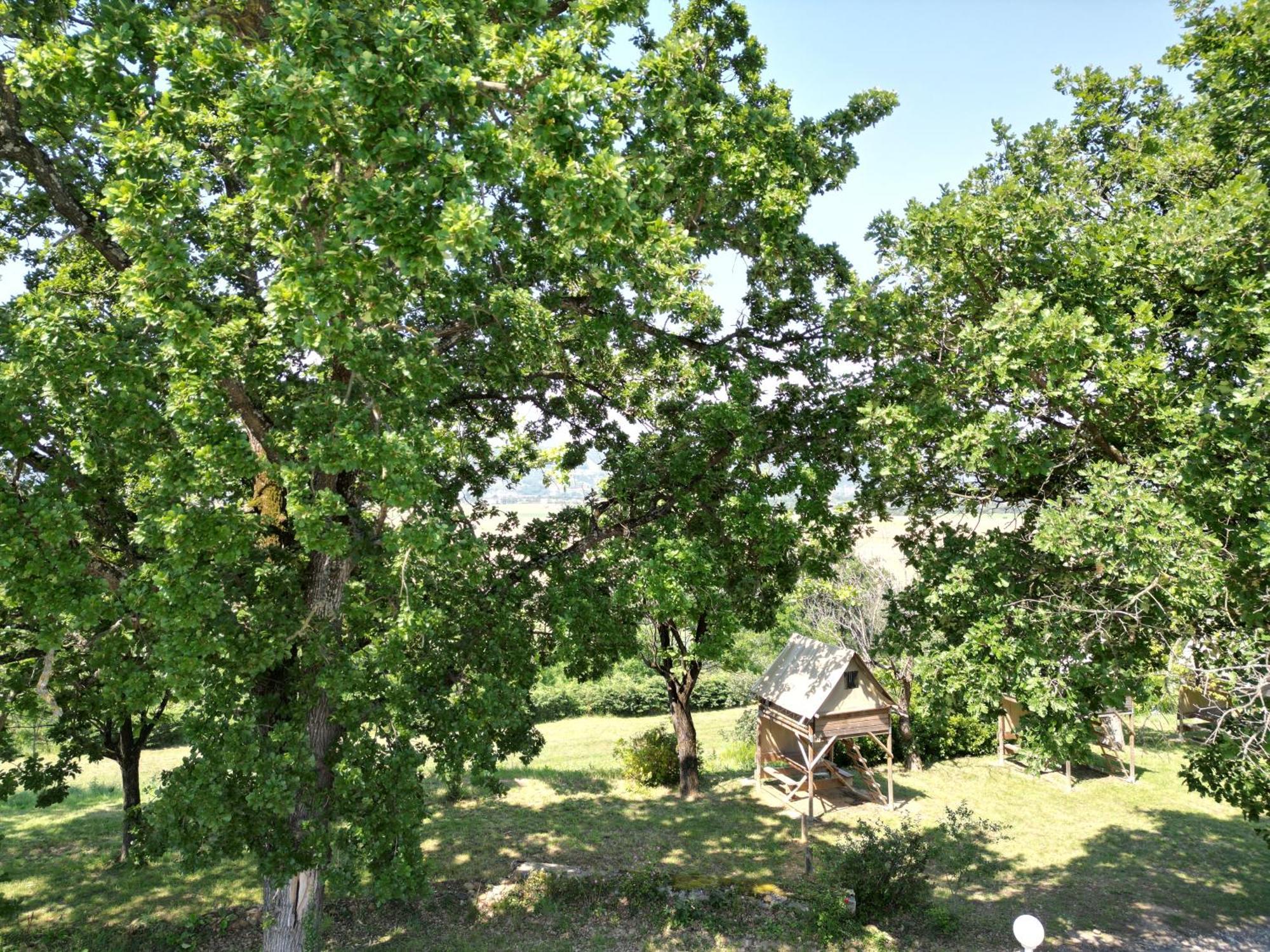 Camping Domaine De Senaud Albon Buitenkant foto